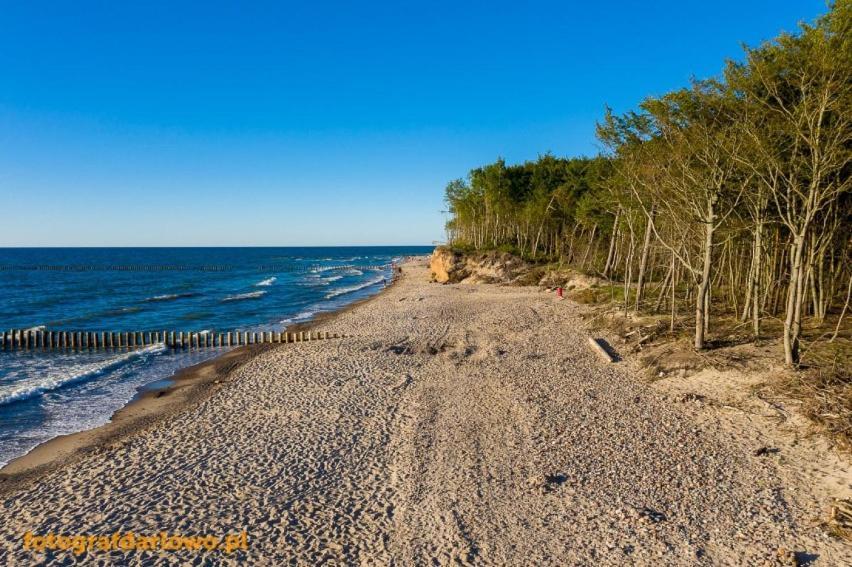 Domki Martes Wicie Віцє Екстер'єр фото